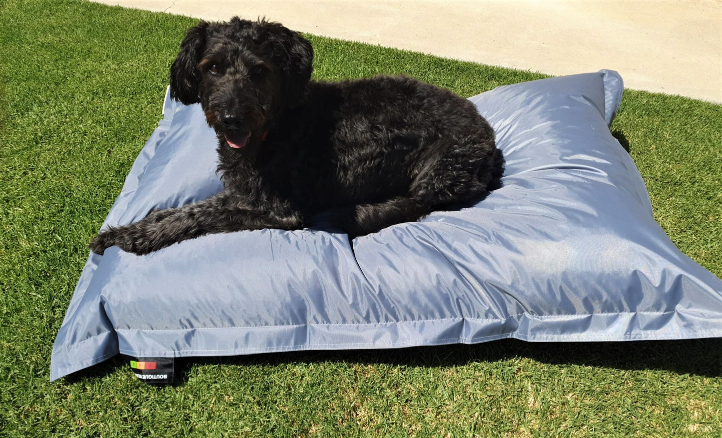 Pet/Dog Bed Waterproof Bean Bag - Teal Piccolo