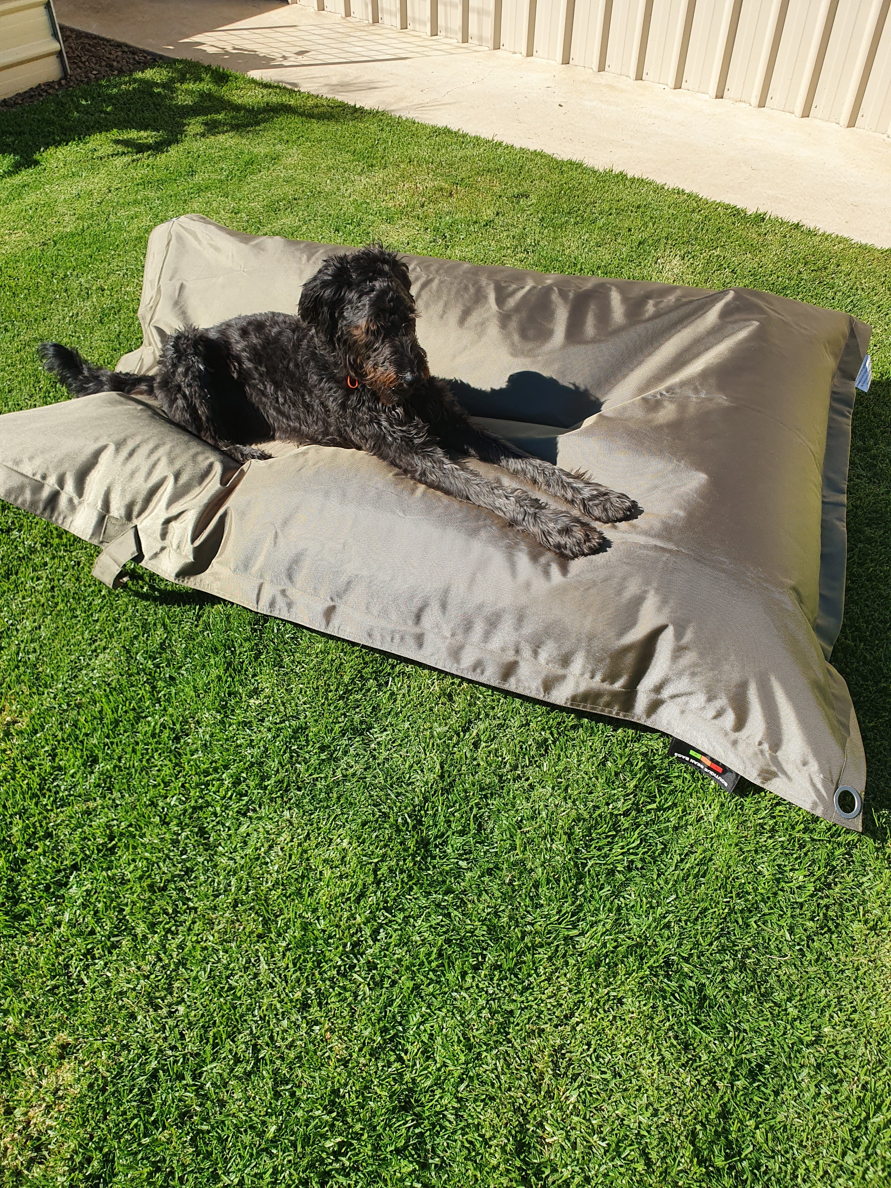 Dog proof hotsell bean bag